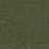 Olive Green Olive Green