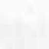 Light Gray Light Gray