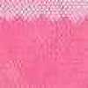 Vivid Pink Vivid Pink