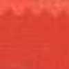 Poppy Red Poppy Red
