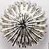 Silver Silver