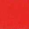 Cardinal Red Cardinal Red