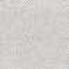 Gray Gray