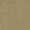 Brown Beige