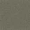 Light Khaki