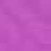 Fuchsia Purple Fuchsia Purple