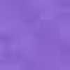 Heliotrope Heliotrope