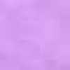 Lilac Lilac