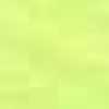 Neon Green Neon Green