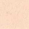 Salmon Pink