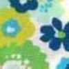 Saita Saita-Blue Saita Saita-Blue