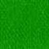 Lime Green Lime Green