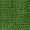 Ivy Green Ivy Green