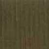 Camel Green Camel Green