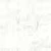 Light Gray Light Gray
