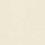 Light Gray Light Gray