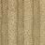 Beige Beige