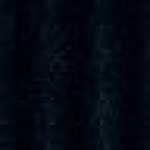 Navy Blue Navy Blue