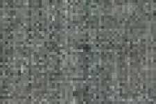 Gray Gray