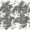 Light Gray Light Gray