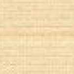 Ecru Beige Ecru Beige