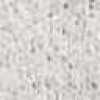 White White