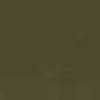 Nut
