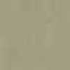 Beige Beige