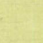 Lime Yellow Lime Yellow