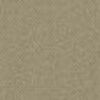 Brown Beige