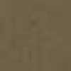 Light Brown Light Brown