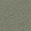 Pale Khaki