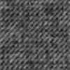 Gray Gray