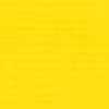 Sunflower Yellow