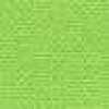 Bright Lime Bright Lime