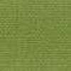 Turtle Green Turtle Green