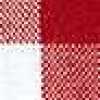Bold Gingham/Red Bold Gingham/Red