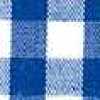 Blue Gingham