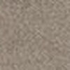 Gray Beige