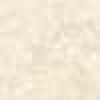 Light Beige Light Beige