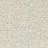Light Gray Light Gray