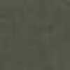 Olive Olive