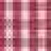 S Gingham-Red S Gingham-Red