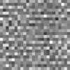 Gray Gray