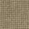 Light Brown Light Brown