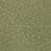 Khaki Khaki