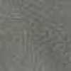 Gray Gray
