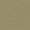Beige Beige