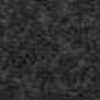 Gray Gray