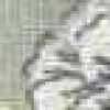 Gray Gray